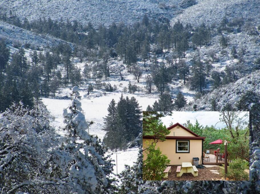 Historical Cabin In Julian Pet'S Okay! Экстерьер фото